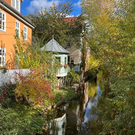 Schildblick Modernes Direkt In Der Altstadt Von Nahe Der Krämerbrücke - Innenstadtlage Erfurt