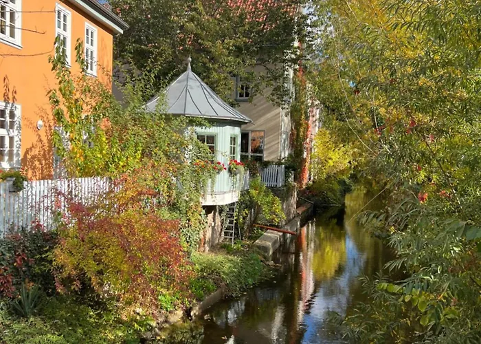 Schildblick Modernes Direkt In Der Altstadt Von Nahe Der Kraemerbruecke - Innenstadtlage エアフルト